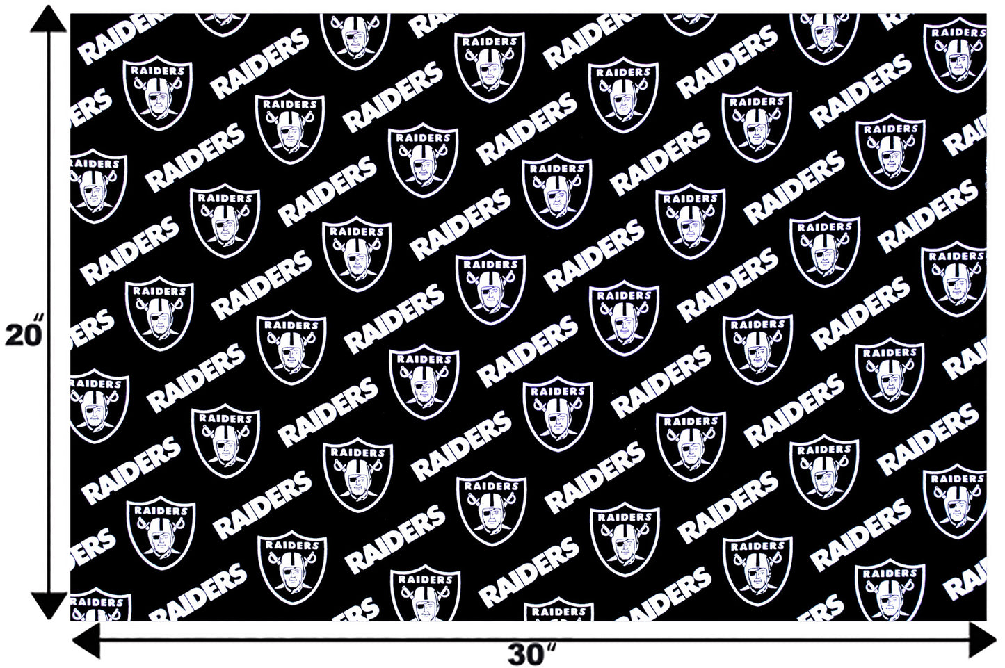 Las Vegas Raiders- NFL0057