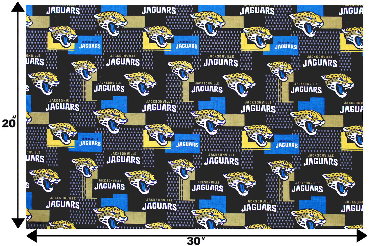 Jacksonville Jaguars- NFL0060
