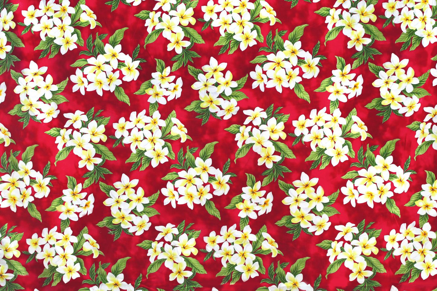 CAA0791 Red