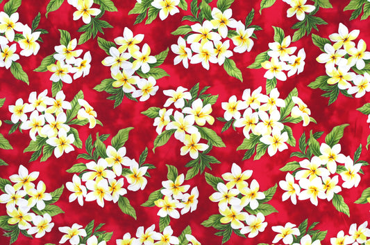 CAA0791 Red