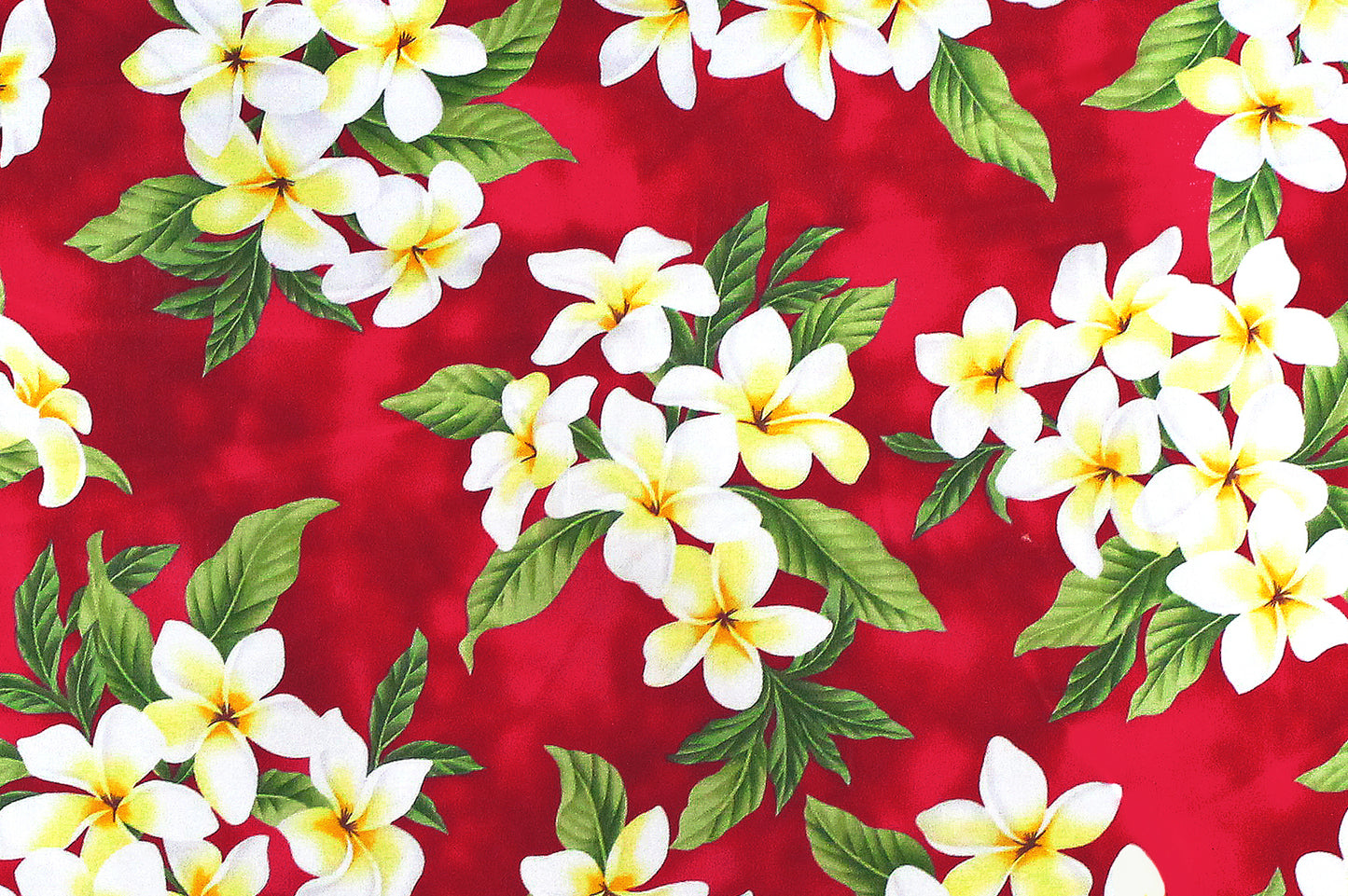 CAA0791 Red
