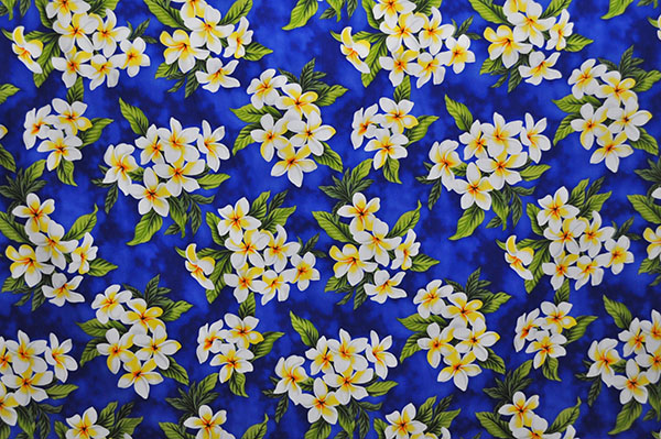 CAA0791 Blue