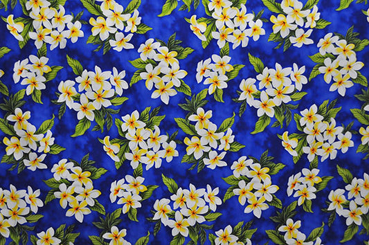 CAA0791 Blue