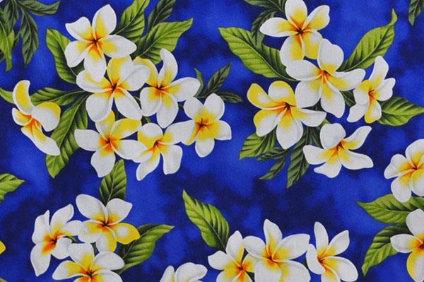 CAA0791 Blue