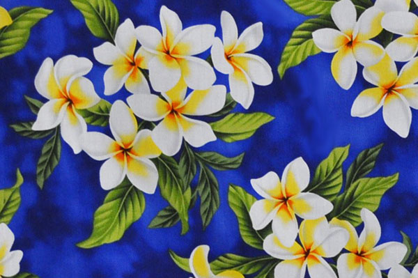 CAA0791 Blue