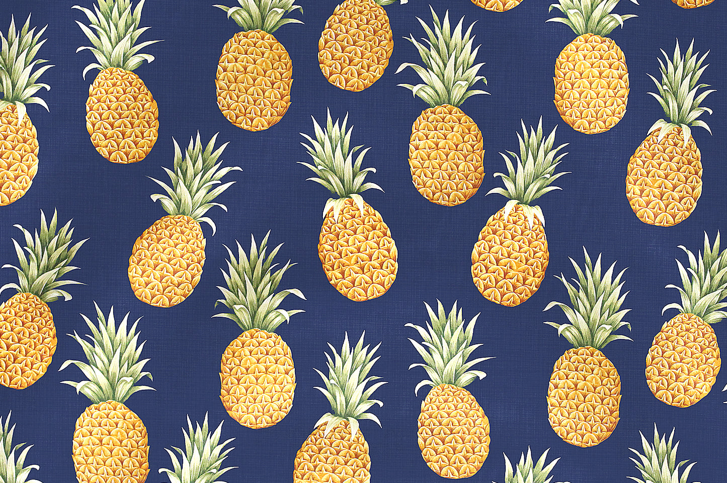 CAA0979 Navy