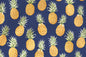 CAA0979 Navy