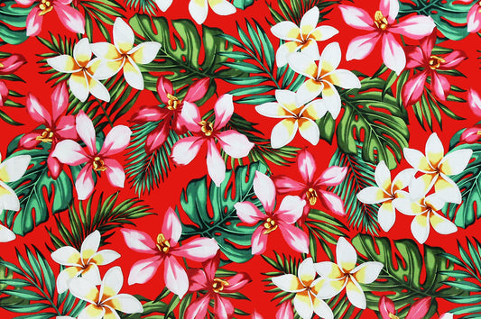 CAA1016 Red