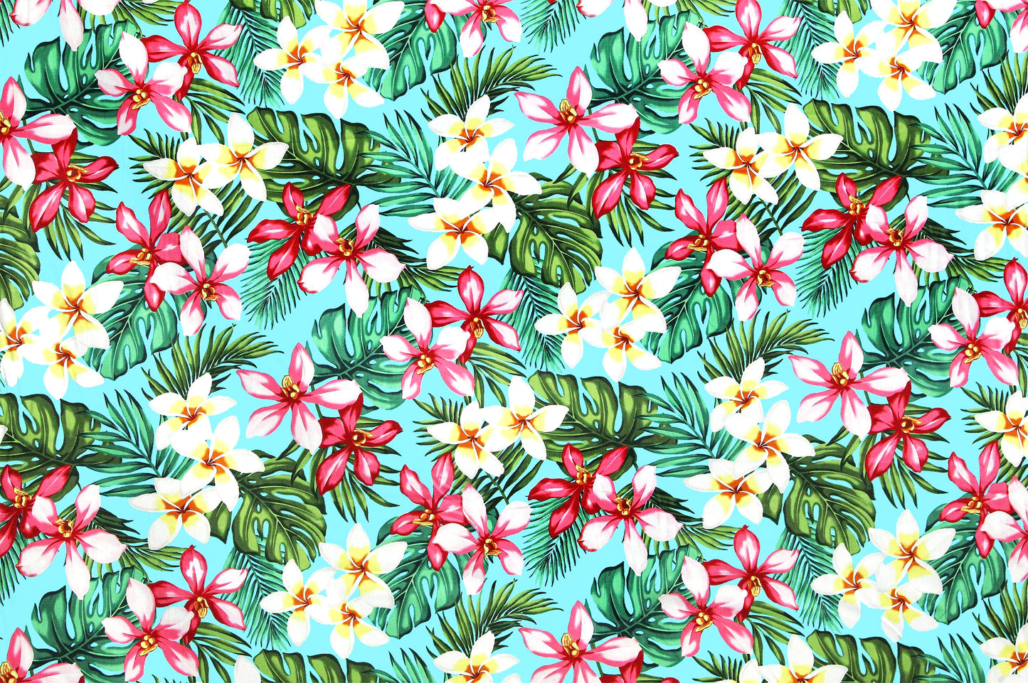 CAA1016 Turquoise