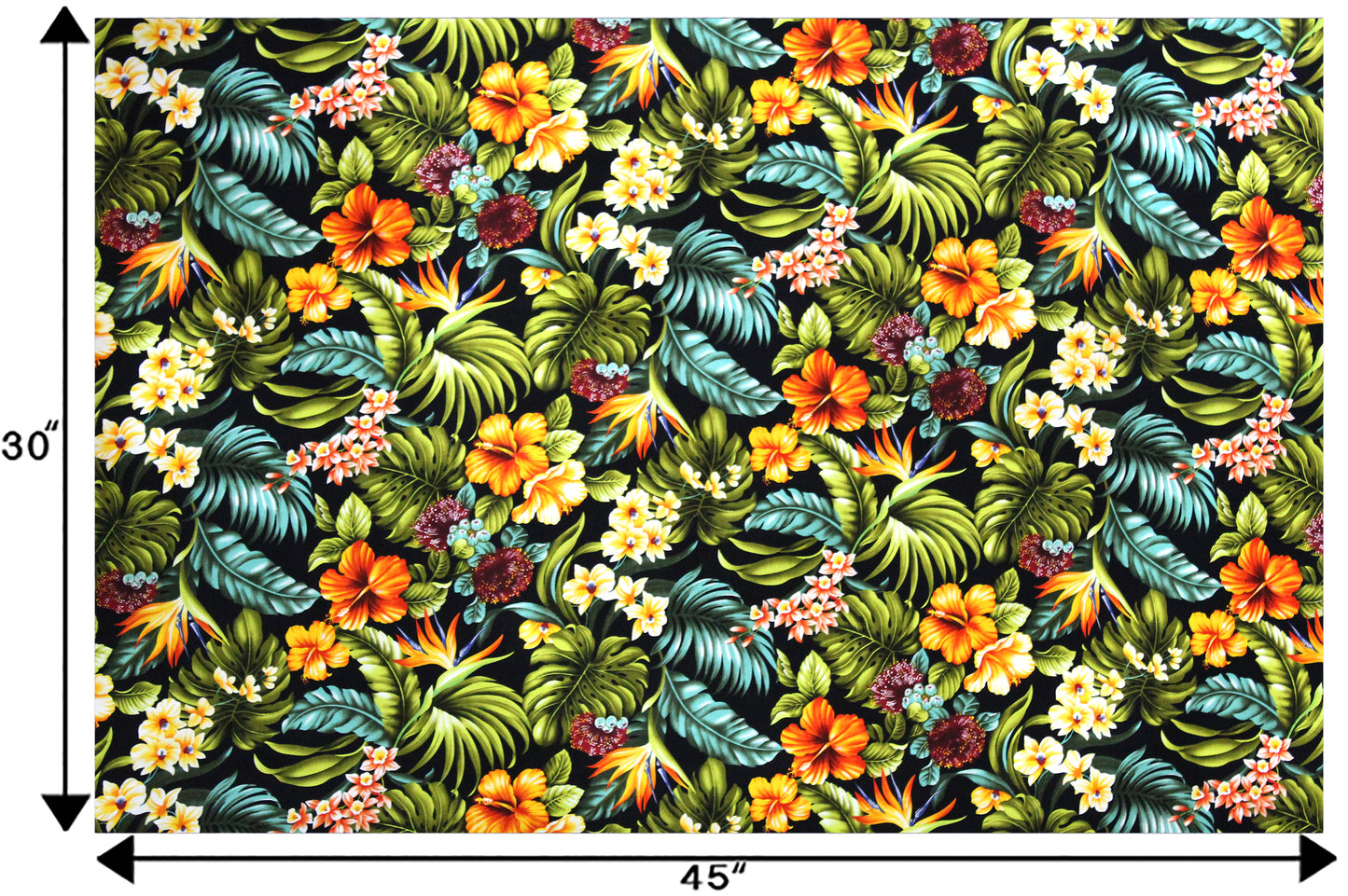 CAA1029 Black
