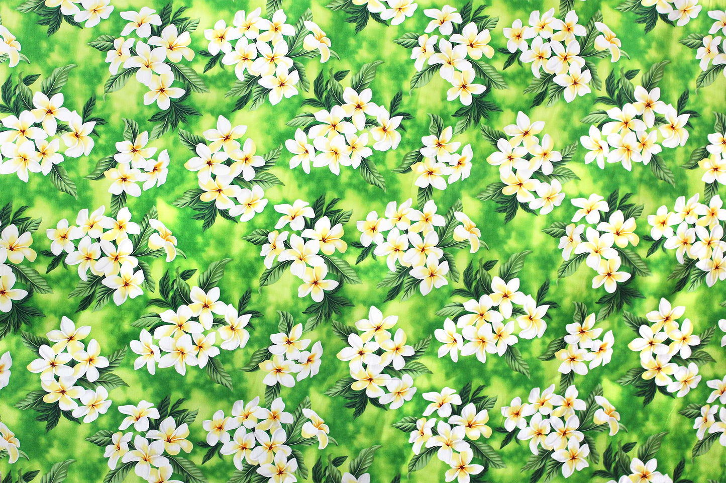 CAA0791 Lime