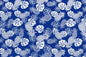 CAA1092 Royal