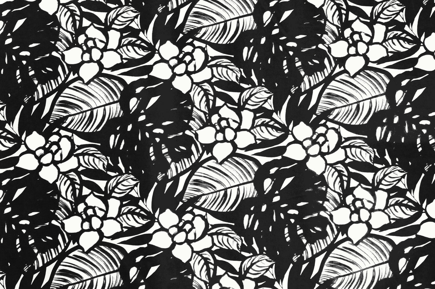 CAA1093 Black/Cream