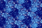 CAA1093 Blue