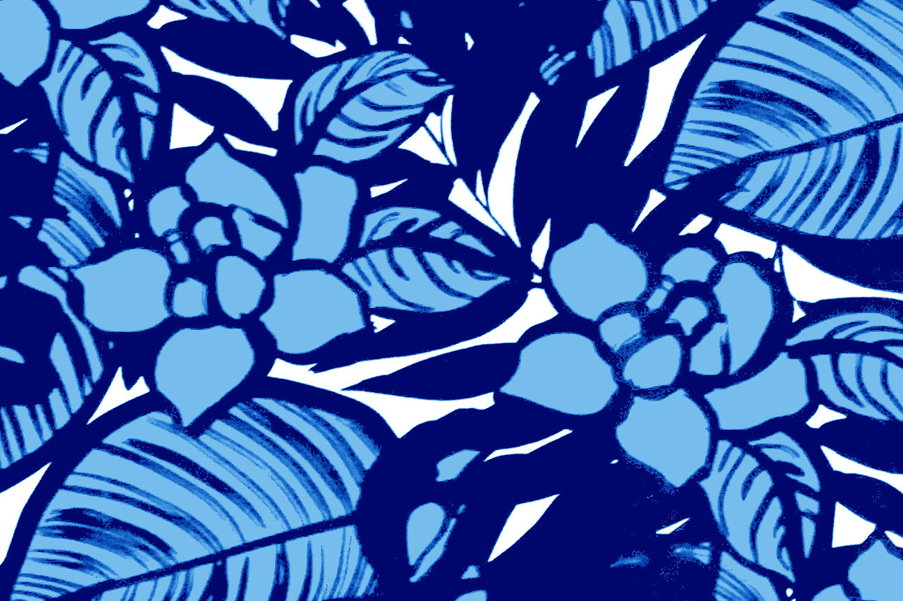 CAA1093 Blue