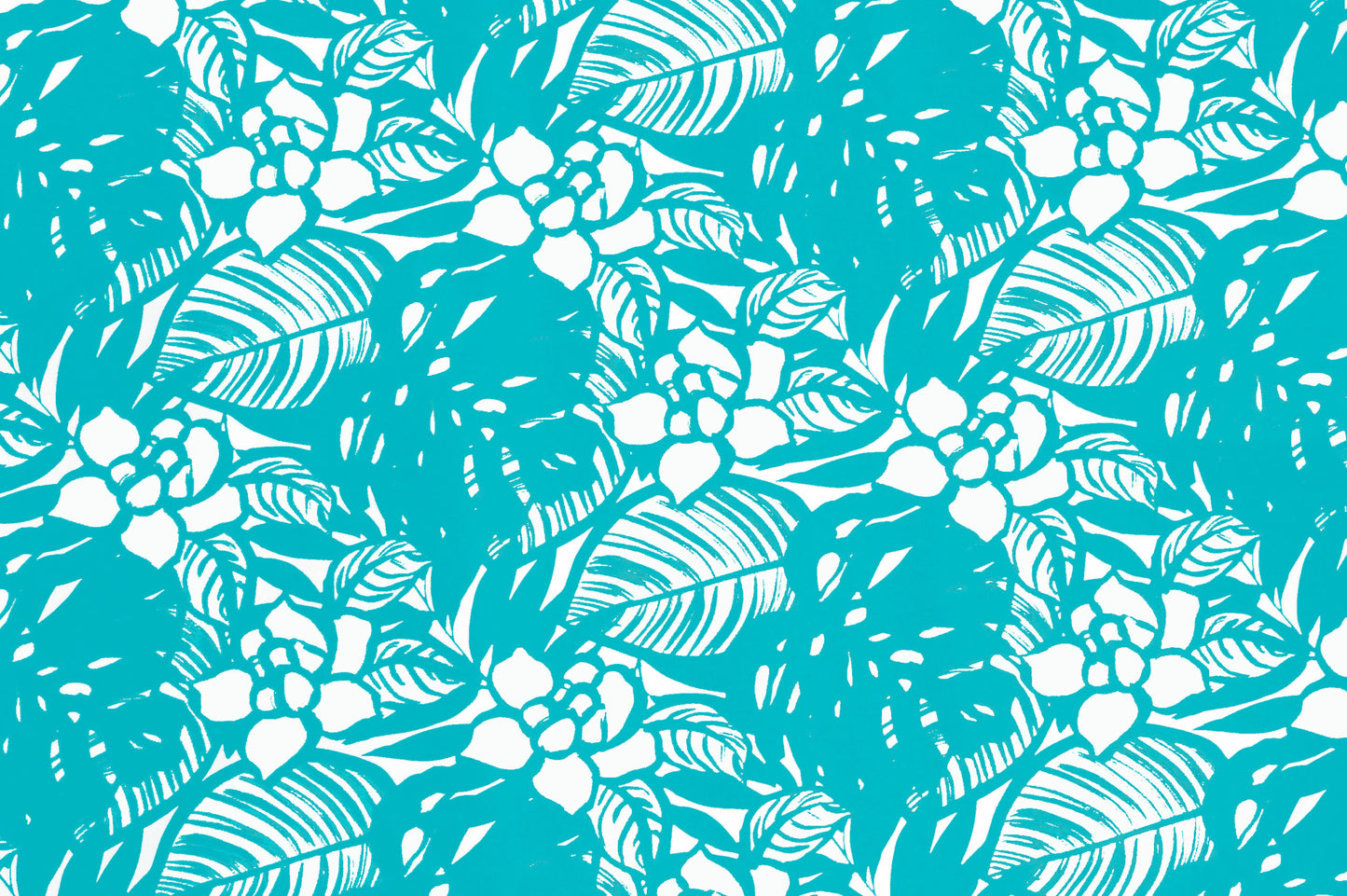 CAA1093 Teal