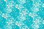 CAA1093 Teal