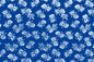 CAA1094 Blue