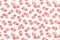 CAA1094 Cream/Red