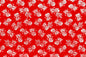 CAA1094 Red