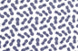 CAA1130 Cream/Navy