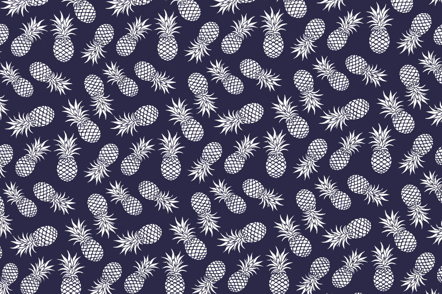 CAA1130 Navy/Cream