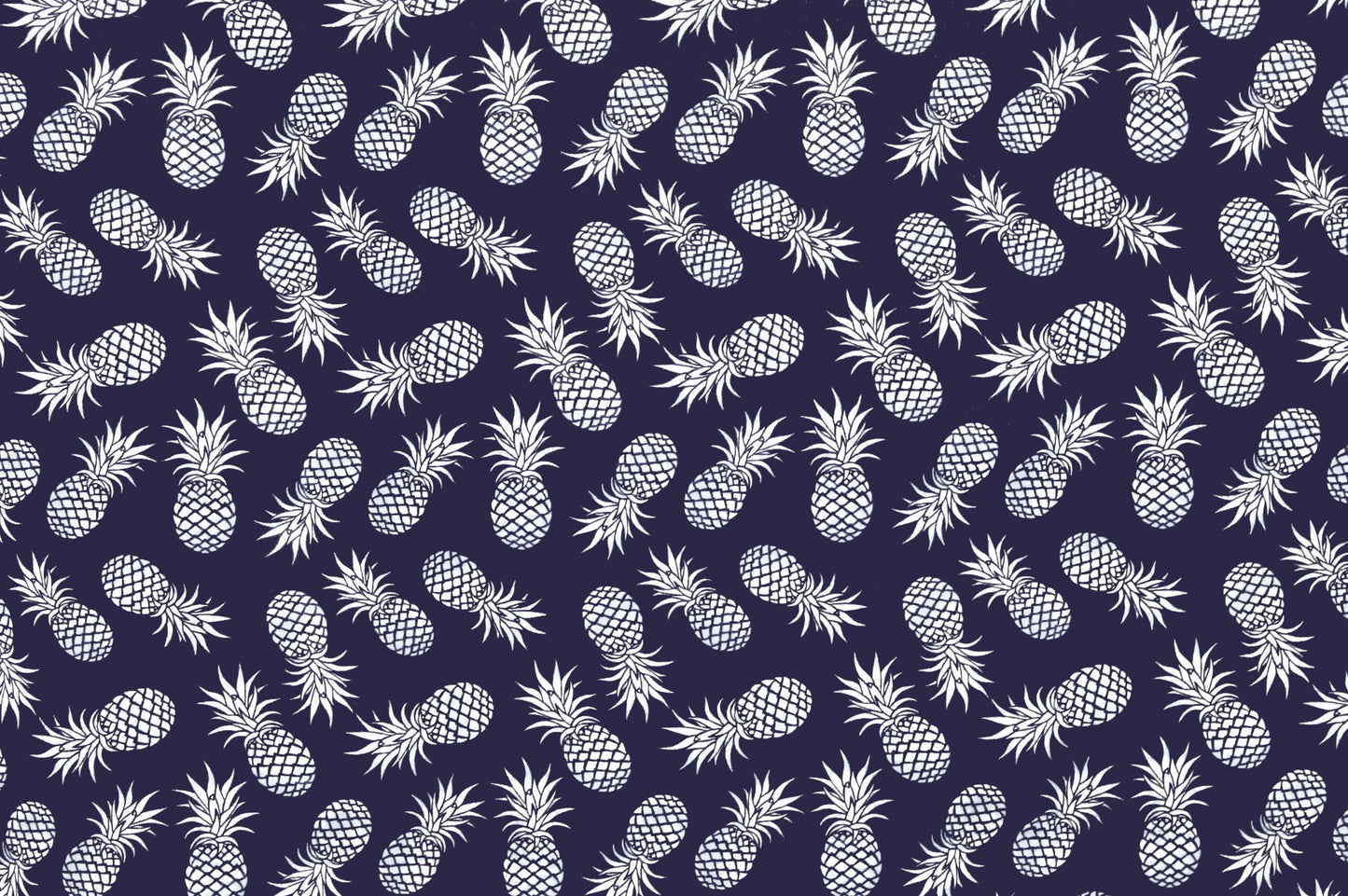 CAA1130 Navy/Cream