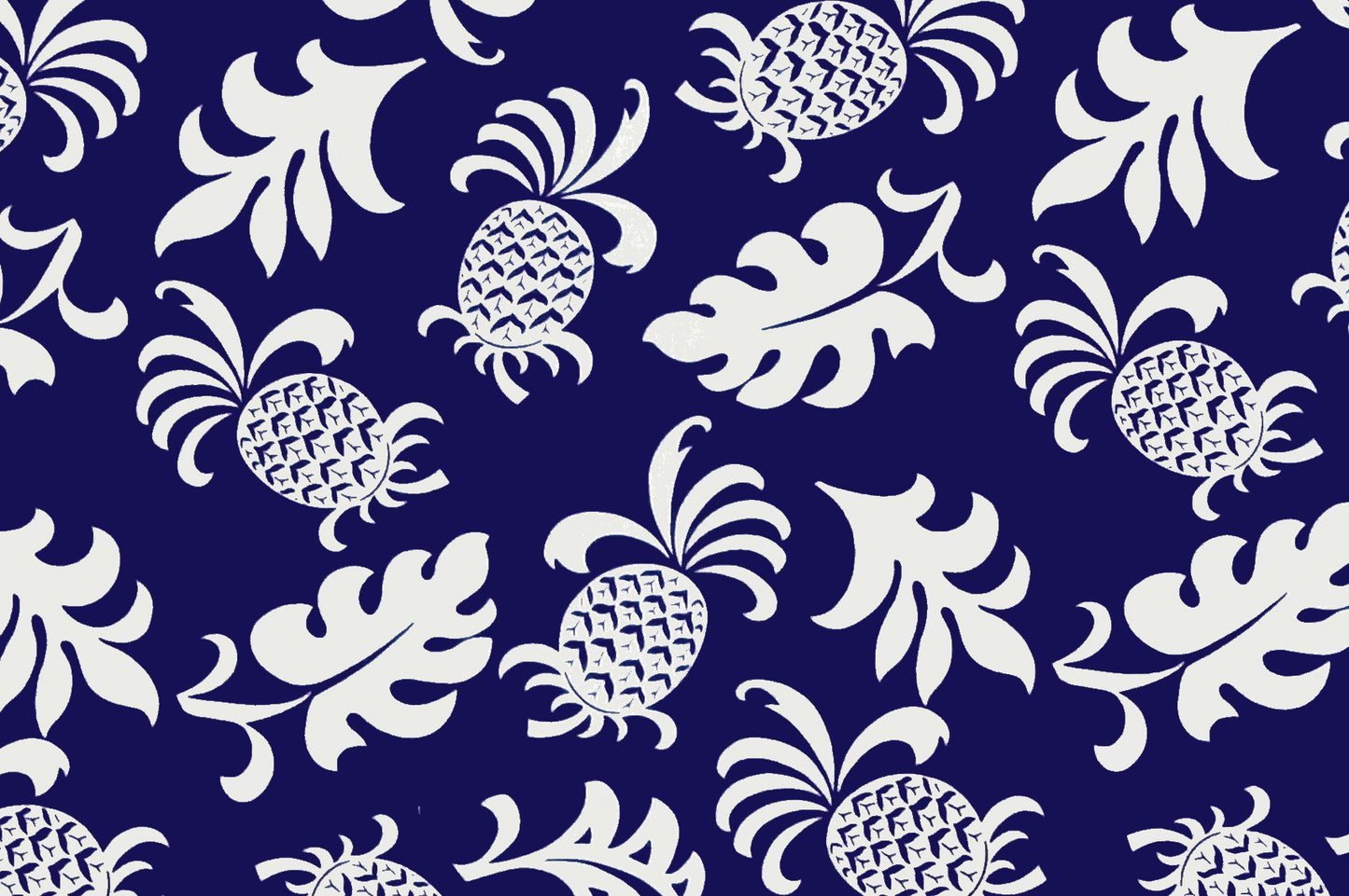 CAA1131 Navy