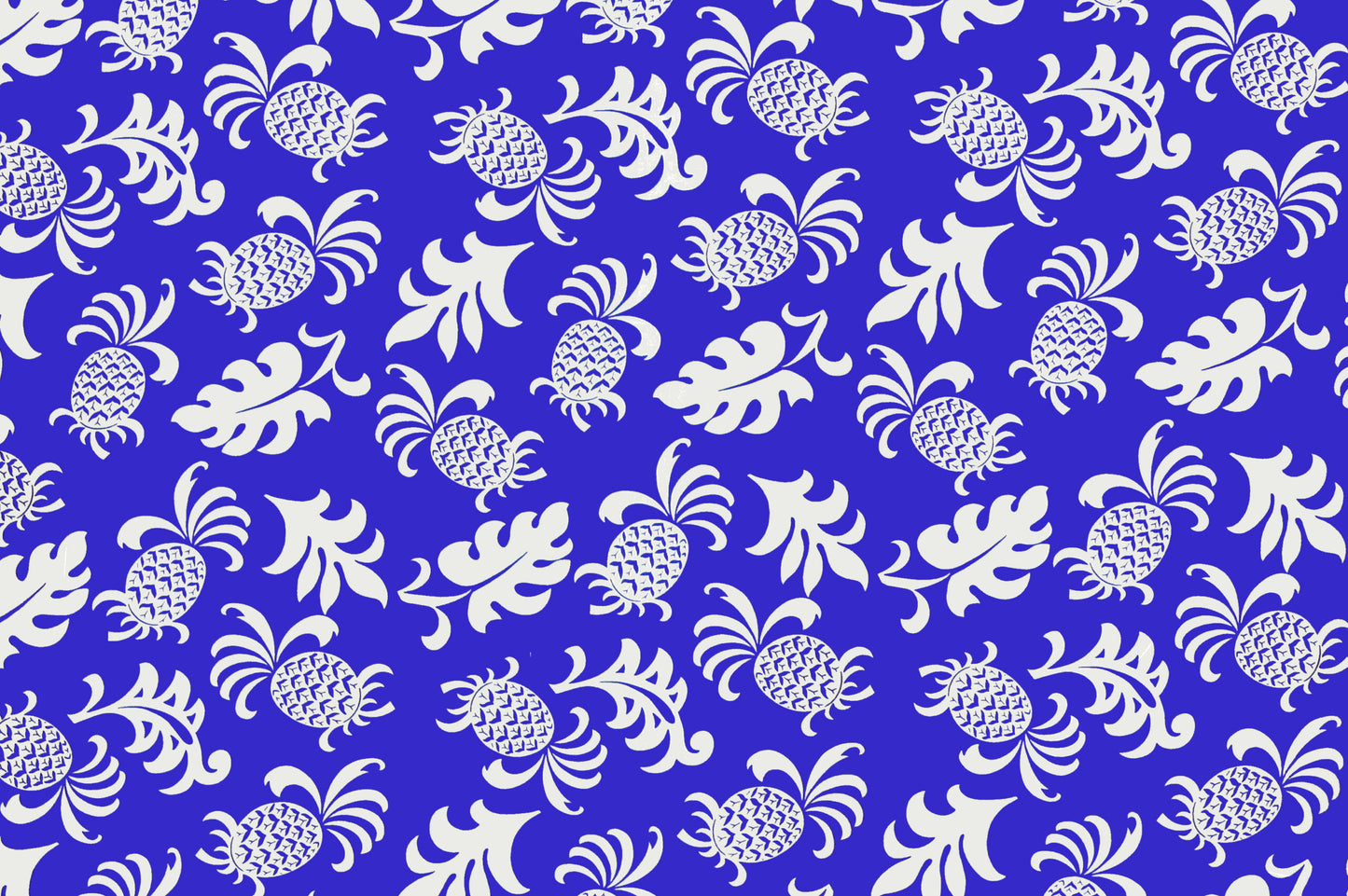 CAA1131 Royal