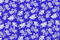 CAA1131 Royal