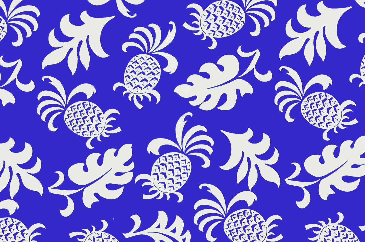 CAA1131 Royal