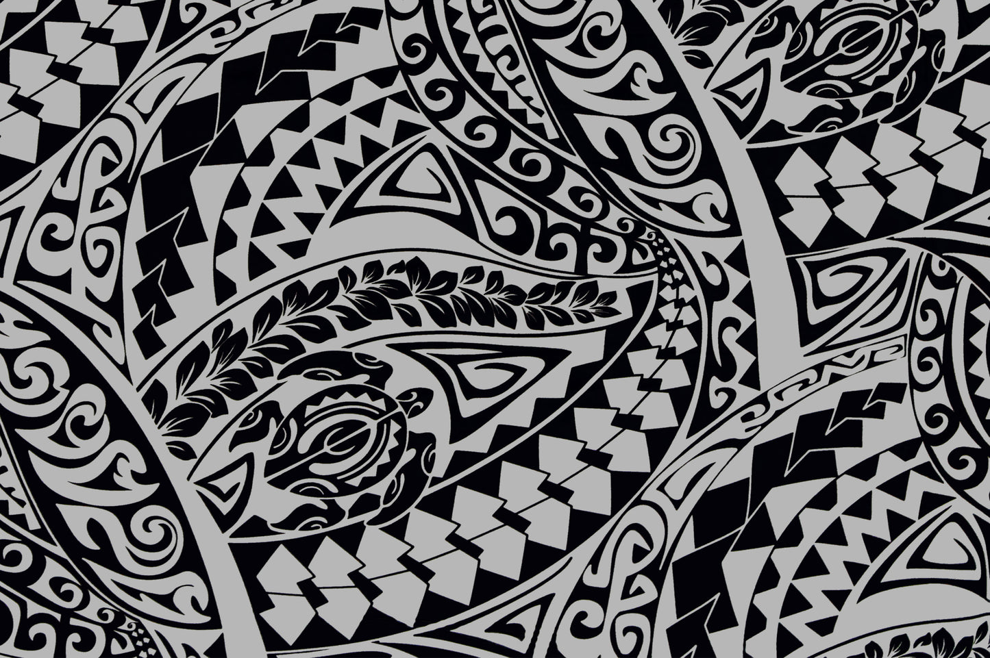 CAB0266 Black/Gray