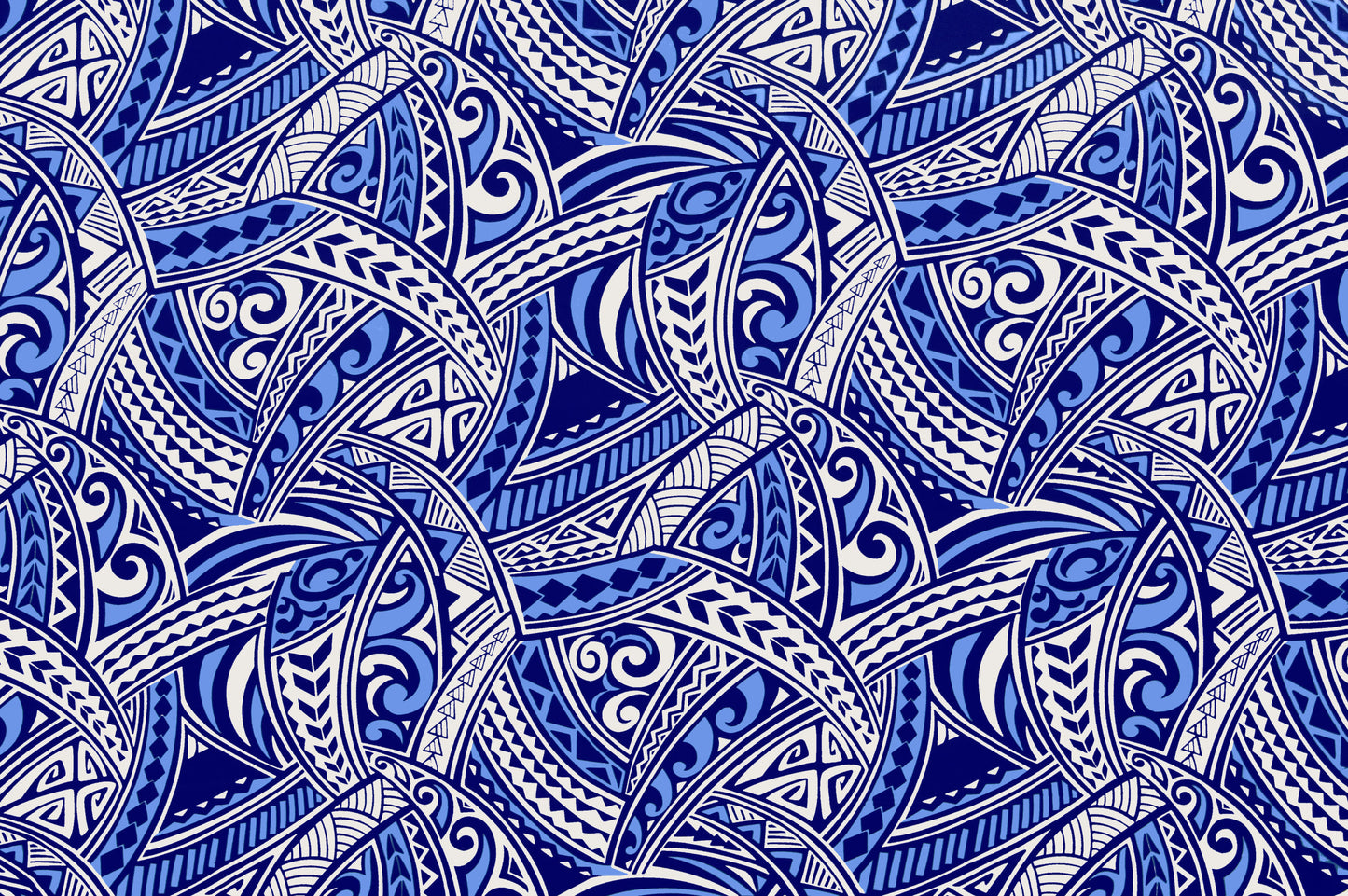 CAB0309 Navy/Blue