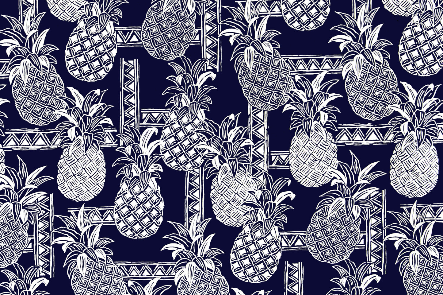 CAB0279 Navy