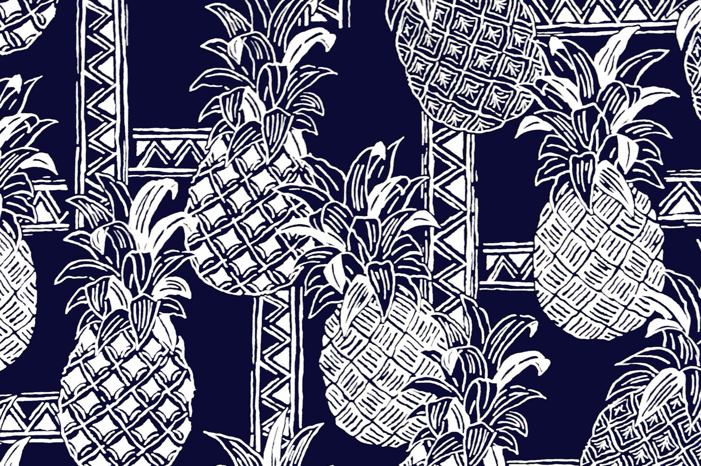 CAB0279 Navy