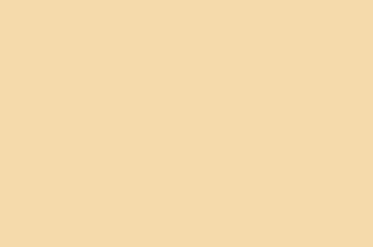 Poly Chiffon Champagne