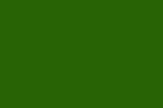 Poly Chiffon Frag Green