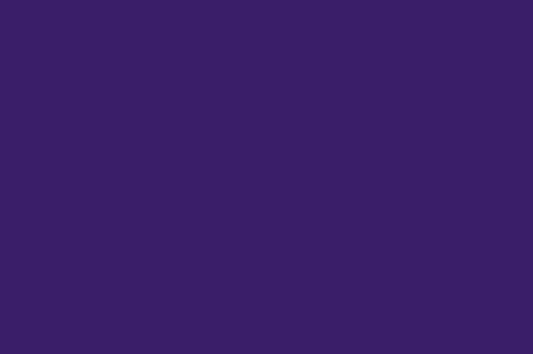 Poly Chiffon Purple