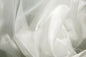 Crystal Organza Ivory