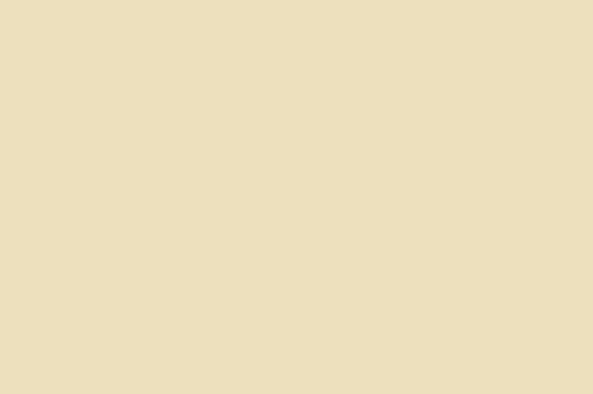 Crystal Organza Champagne