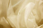 Crystal Organza Gold