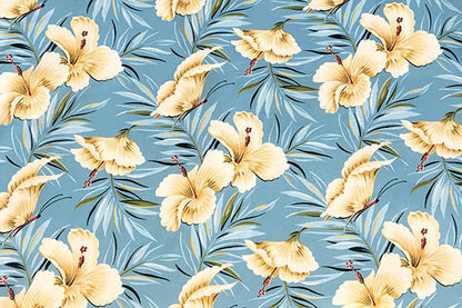 DF1658 Aqua