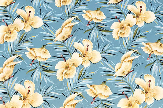 DF1658 Aqua