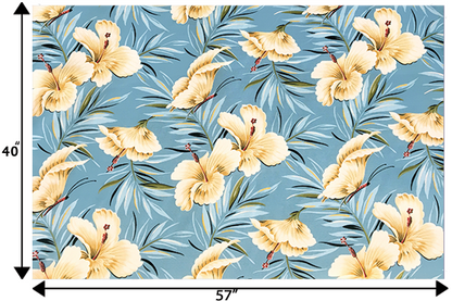 DF1658 Aqua