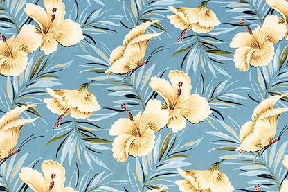 DF1658 Aqua