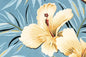DF1658 Aqua