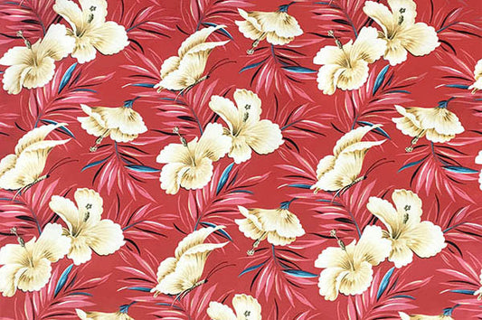 DF1658 Coral