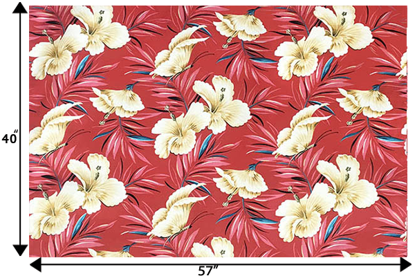 DF1658 Coral