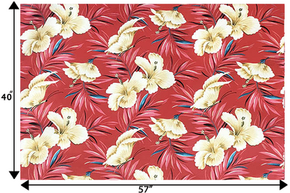 DF1658 Coral