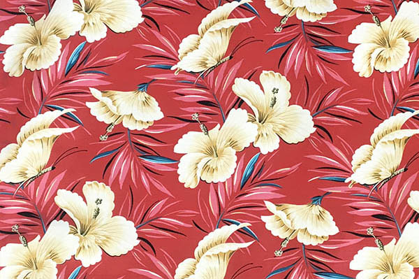DF1658 Coral